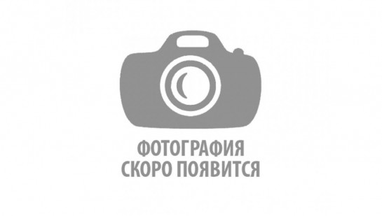 Карабины овальные: алюминиевые и стальные, с муфтой